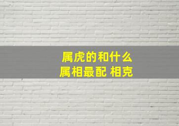 属虎的和什么属相最配 相克